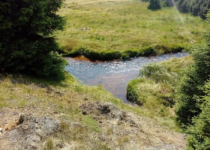Ondrasek *